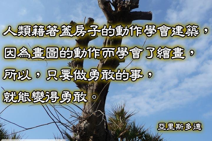 人類藉著蓋房子的動作學會建築，
因為畫圖的動作而學會了繪畫，
所以，只要做勇敢的事，就能變得勇敢。--亞里斯多德