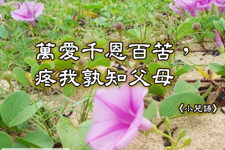 萬愛千恩百苦，
疼我孰知父母。--小兒語
