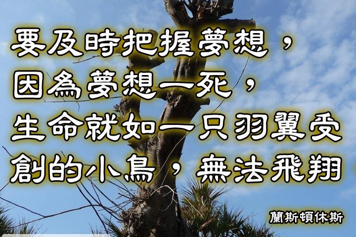 要及時把握夢想，
因為夢想一死，
生命就如一只羽翼受創的小鳥，
無法飛翔。--蘭斯頓休斯