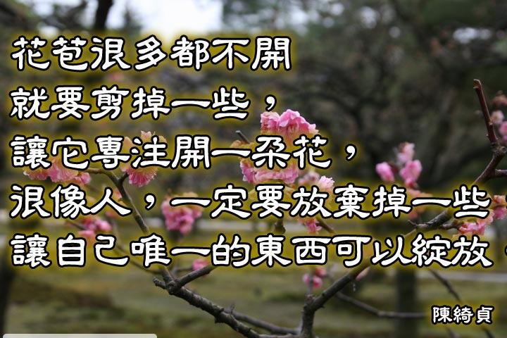 花苞很多都不開就要剪掉一些，
讓它專注開一朵花，
很像人，一定要放棄掉一些，
讓自己唯一的東西可以綻放。--陳綺貞
