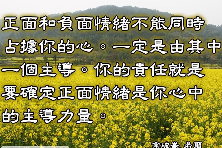正面和負面情緒不能同時占據你的心。
一定是由其中一個主導。
你的責任就是要確定正面情緒是你心中的主導力量。--拿破崙