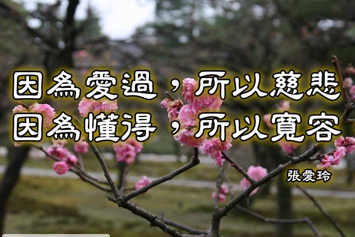 因為愛過，所以慈悲，
因為懂得，所以寬容。--張愛玲