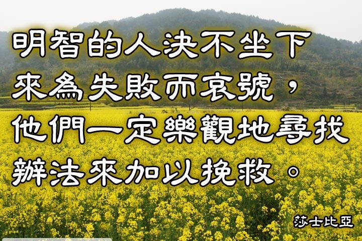 明智的人決不坐下來為失敗而哀號，
他們一定樂觀地尋找辦法來加以挽救。--莎士比亞