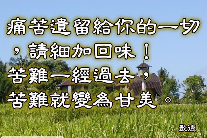 痛苦遺留給你的一切，請細加回味！
苦難一經過去，苦難就變為甘美。--歌德