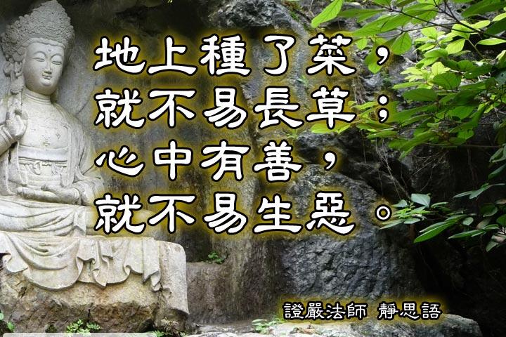 地上種了菜，就不易長草；
心中有善，就不易生惡。--證嚴法師