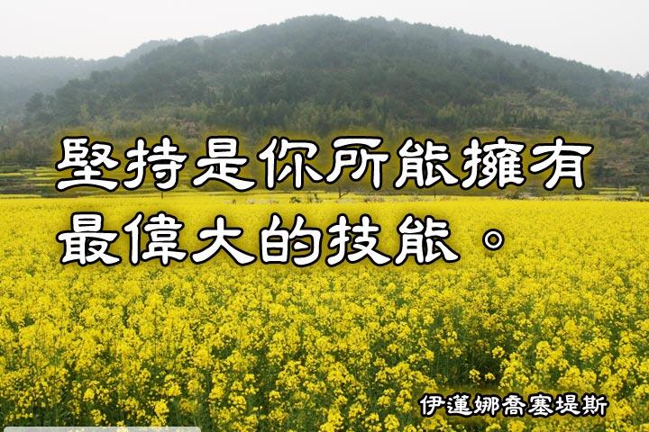 堅持是你所能擁有最偉大的技能。--伊蓮娜喬塞堤斯