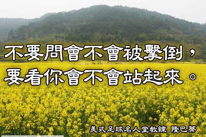 『不要問會不會被擊倒，要看你會不會站起來。』--隆巴蒂
