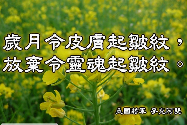 歲月令皮膚起皺紋，放棄令靈魂起皺紋。--麥克阿瑟