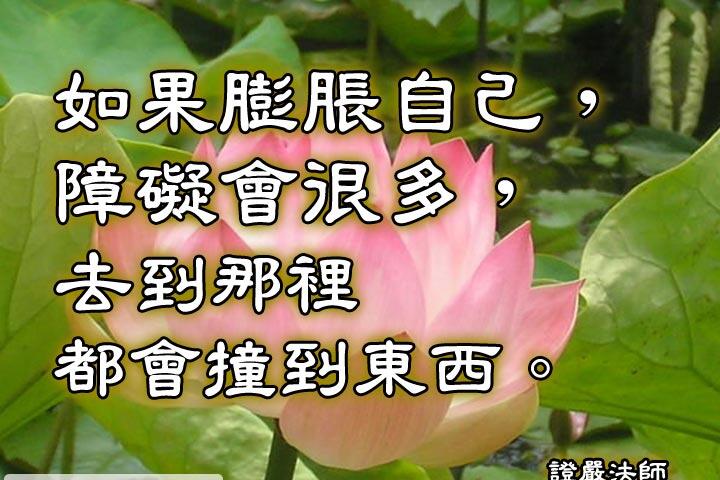 證嚴法師 名言錄