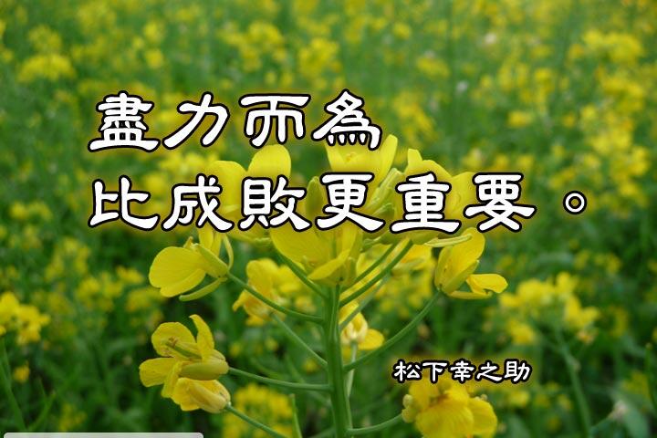 盡力而為比成敗更重要。--松下幸之助